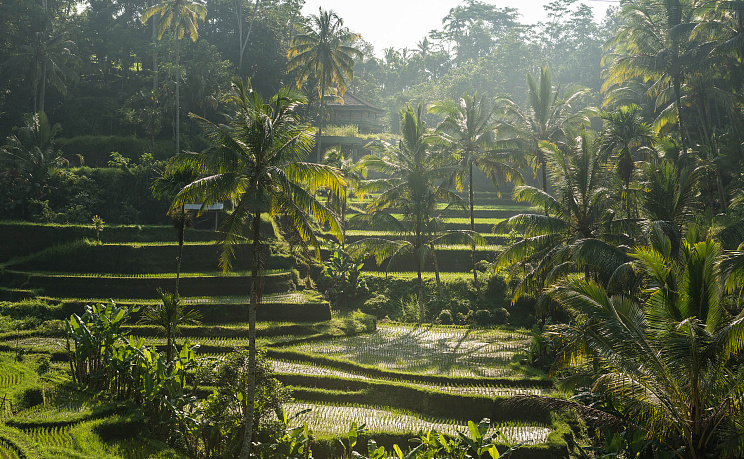 о.Бали - Перелет через Шанхай 10