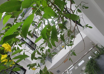 Ale Nha Trang Hotel