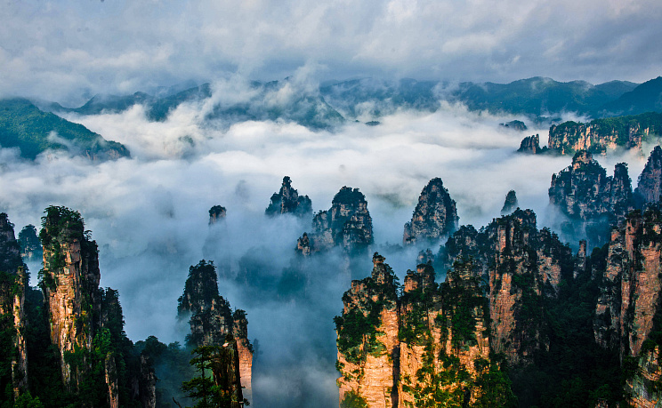 Чжанцзяцзе - Изображение 20